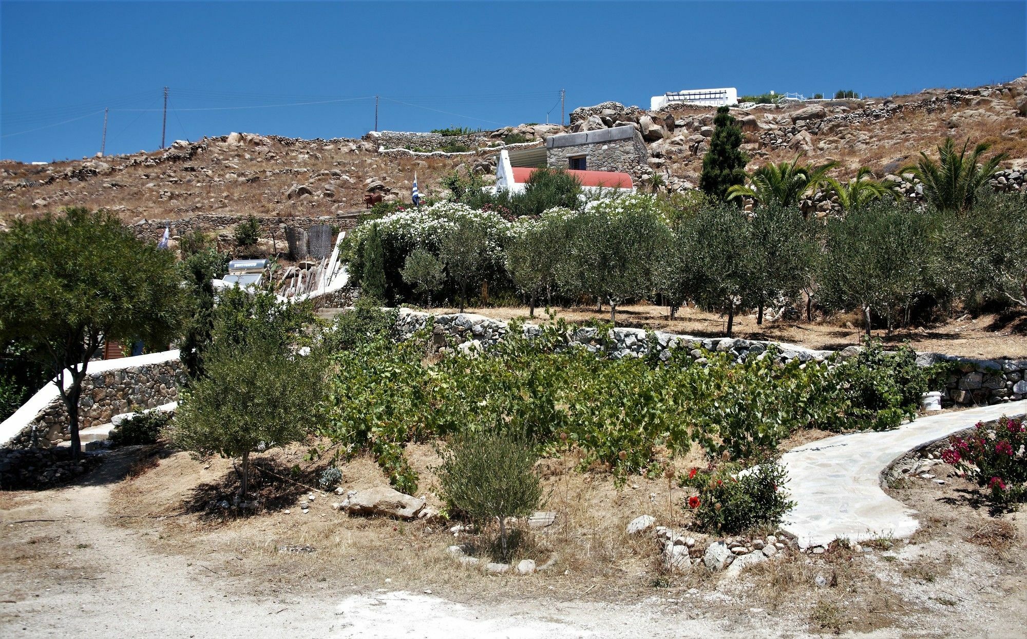 Mykonos Moussa Villa Agios Ioannis Diakoftis Exterior photo